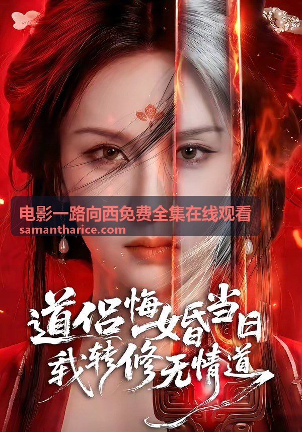 電影一路向西免費全集線上觀看場景解析條目封面